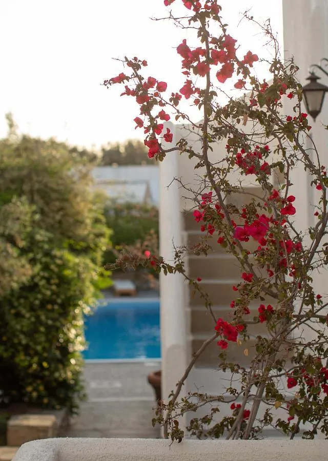 Andromeda Residence Mykonos Town Grecia